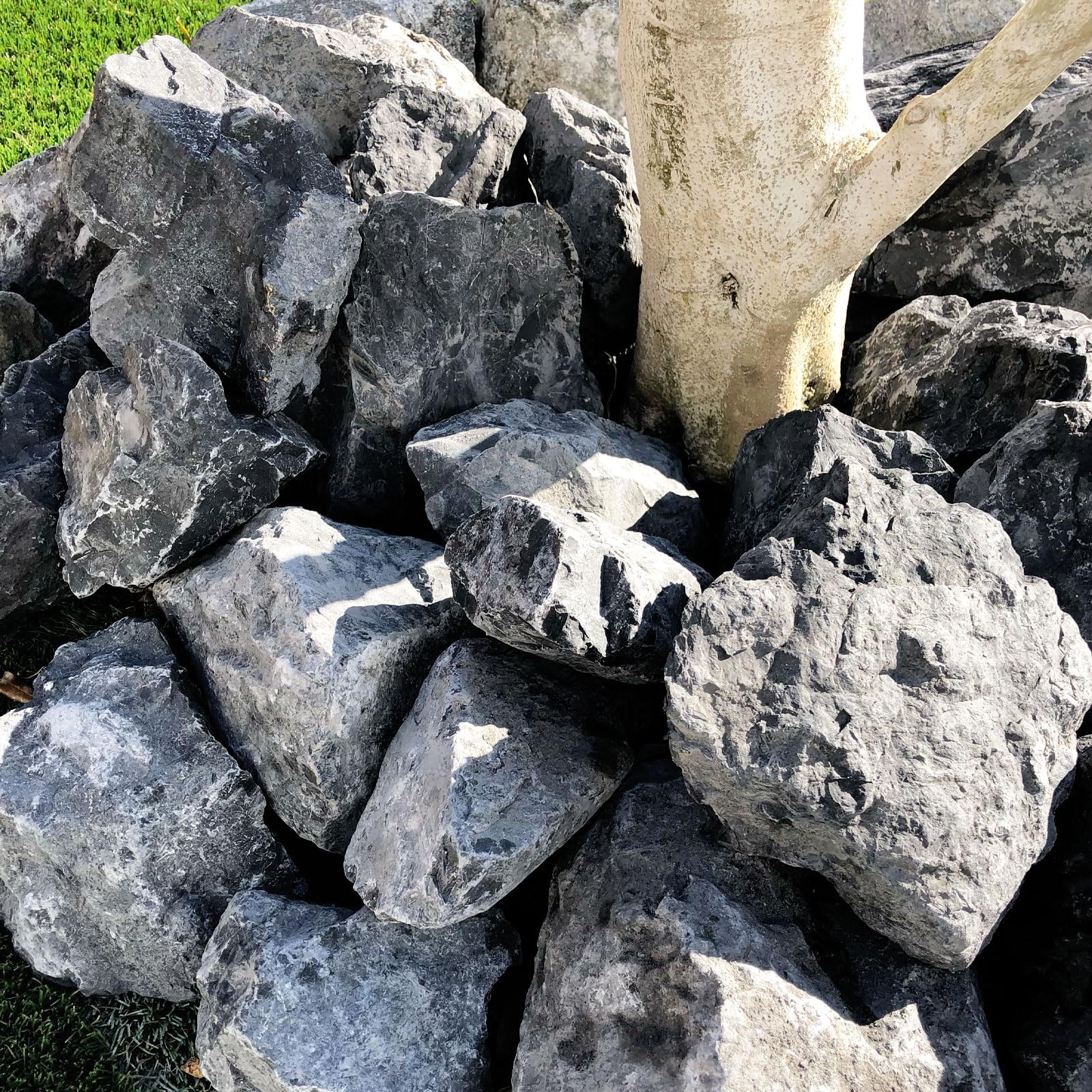 庭石　置き石 楽天市場】庭石 20kg タンブル 置き石 50〜150mm ホワイト レモン